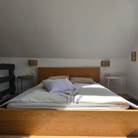 Lejtoliget * זמראדי