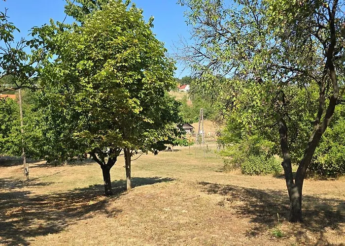 Lejtoliget Prázdninový dům Zamárdi