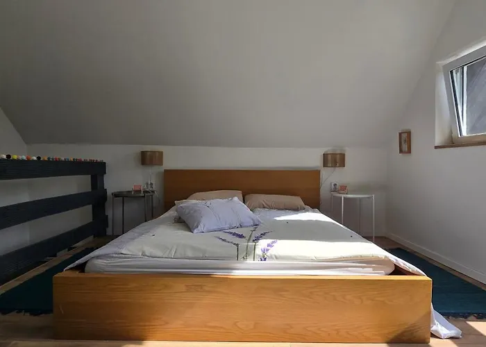 Lejtoliget * Zamárdi